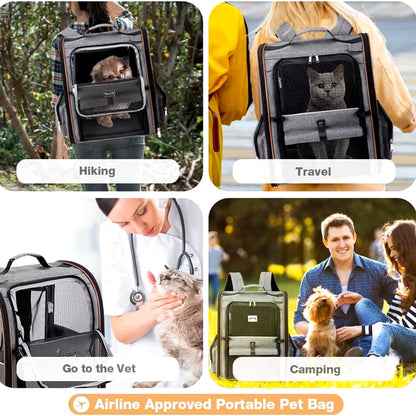 Foldable Puppy Backpack